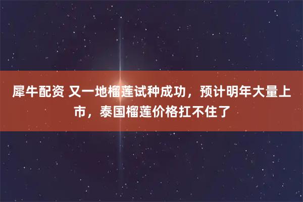 犀牛配资 又一地榴莲试种成功，预计明年大量上市，泰国榴莲价格扛不住了