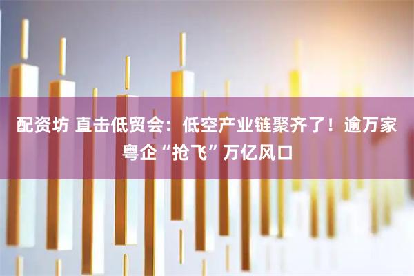 配资坊 直击低贸会：低空产业链聚齐了！逾万家粤企“抢飞”万亿风口