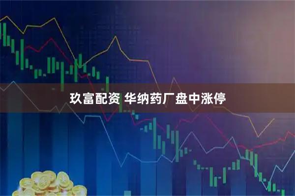 玖富配资 华纳药厂盘中涨停